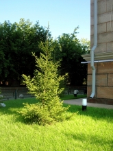 Фотоконкурс РОСПРОФЖЕЛ 