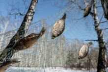 Юбилейный 10-й профсоюзный фестиваль «Царская уха» 14 марта 2026